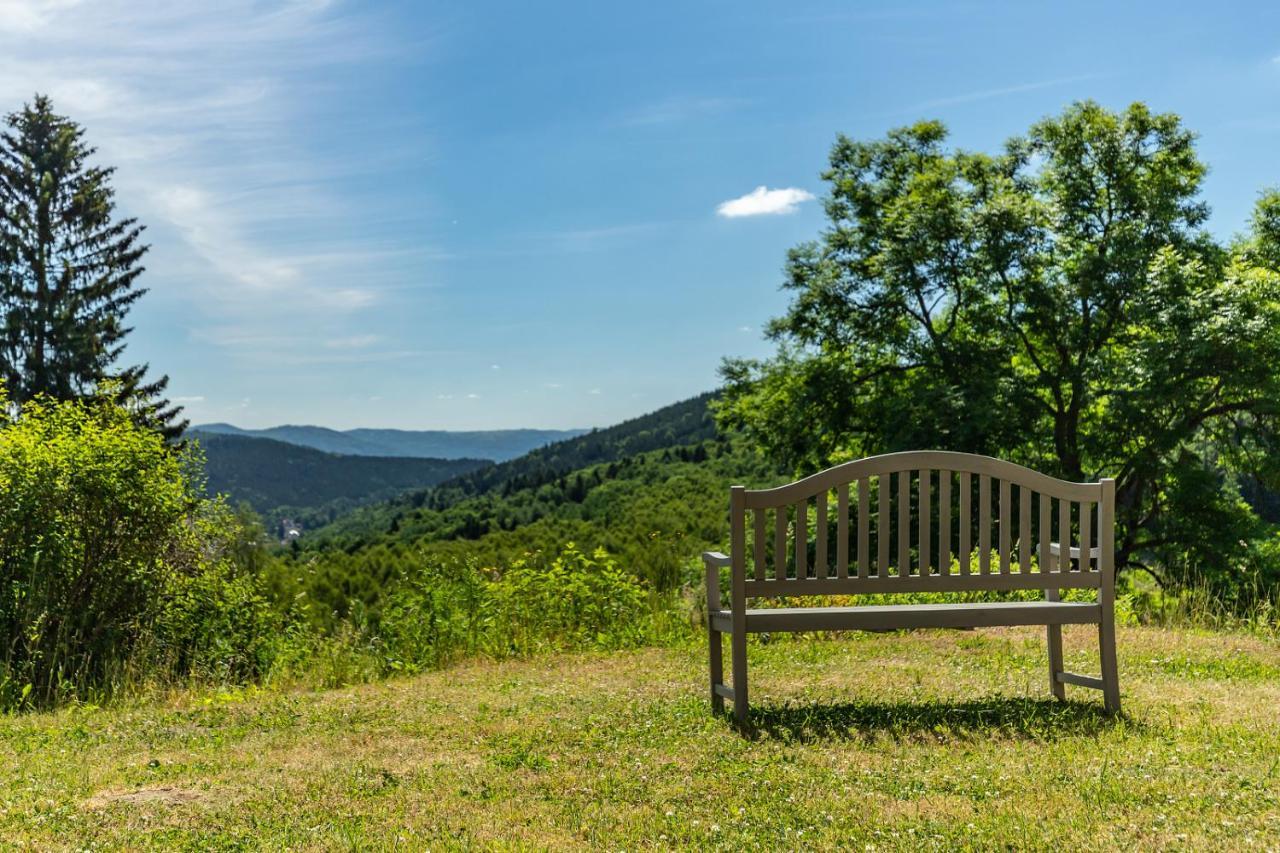 Apartmány Nad Šlikovkou Jáchymov Exterior foto